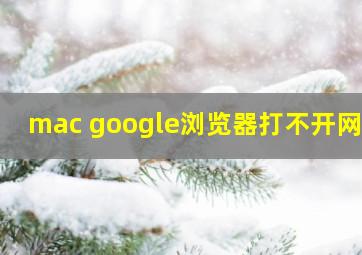 mac google浏览器打不开网页